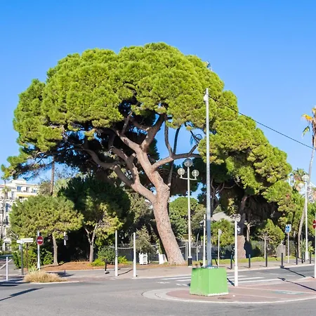 French Vintage Apartman *