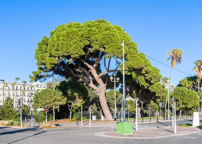 French Vintage דירה *